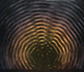 Bellows,jake - New Ocean - Music CD