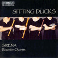 Meijering / Larsen / Hirose / Sirena Recorder - Sitting Ducks - Music CD