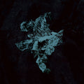 Young Echo - Nexus - Music CD