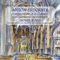 Bruckner / Rogg - Symphony 8: Unique Organ Transcription - Music CD