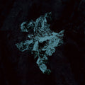 Young Echo - Nexus - Vinyl Record