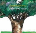 Compleanno Di Mary - Holywood Songs - Vinyl Record