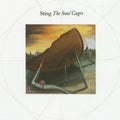 Sting - Soul Cages - Music CD