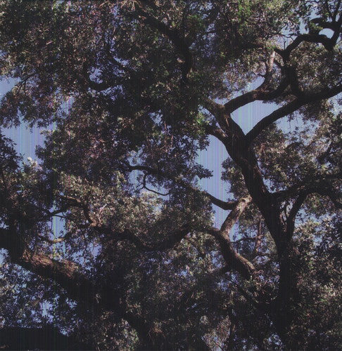 Manson,charles - Trees - Vinyl Record