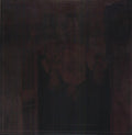 Wolves At Bay - Was The Devil Once - Vinyl Record