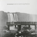Springintgut - Where We Need No Map: Remixes - Vinyl Record