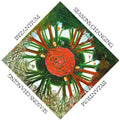 Byzantium - Seasons Changing - Music CD