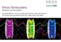 Borboudakis,minas - Photonic Constructions - Music CD