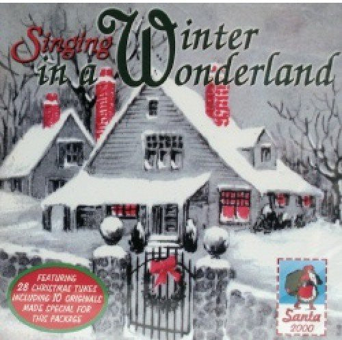 Singing In A Winter Wonderland / Various - Singing In A Winter Wonderland / Various - Music CD