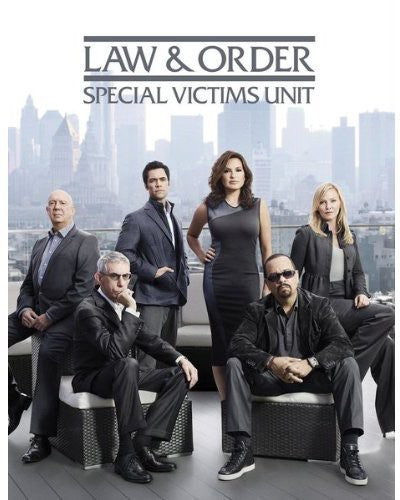 Law & Order Special Victims Unit: Fourteenth Year - Law & Order Special Victims Unit: Fourteenth Year - DVD