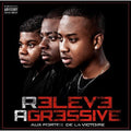 Releve Agressive - Aux Portes De La Victoire - Music CD