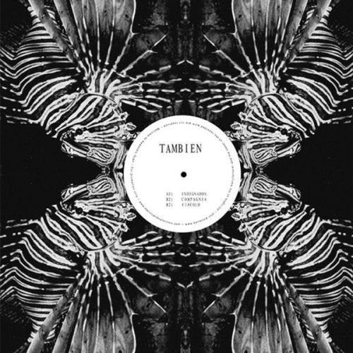 Tambien - Tambien Project - Vinyl Record
