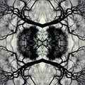 Rudolph,adam - Sonic Mandala Go: Organic Orchestra - Music CD