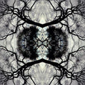Rudolph,adam - Sonic Mandala Go: Organic Orchestra - Vinyl Record