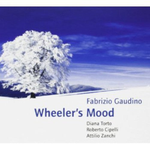Gaudino,fabrizio - Wheeler's Mood - Music CD