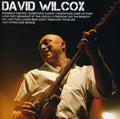 Wilcox,david - Icon - Music CD