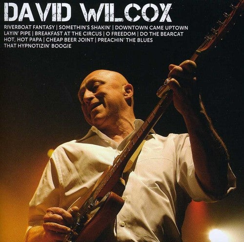 Wilcox,david - Icon - Music CD