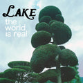 Lake - World Is Real - Vinyl Record