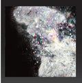 Shiko Shiko - Best New Bestiole - Music CD