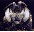 Kaly Live Dub - Allaxis - Music CD