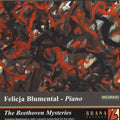 Beethoven / Brno Philharmonic Orch / Waldhans - Beethoven Mysteries - Music CD