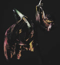 Traams - Grin - Music CD