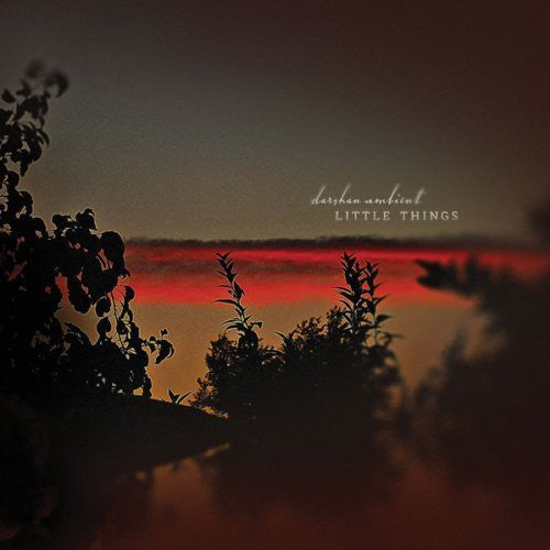 Darshan Ambient - Little Things - Music CD