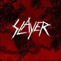 Slayer - World Painted Blood - Vinyl Record