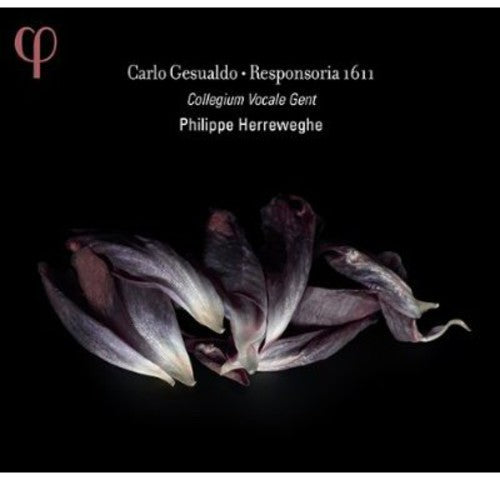 Gesualdo / Collegium Vocale Gent / Herreweghe - Responsoria 1611 - Music CD