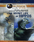 Secret Life Of Hippos - Secret Life Of Hippos - Blu-ray