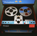 Paladins - Wicked / Should Have Been Dreamin - Vinyl Record