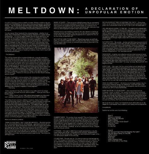 Jail Weddings - Meltdown / Declaration Of Unpopular Emotion - Vinyl Record