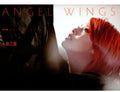 Yang,rainie - Angel Wings: Fantasy Land - Music CD