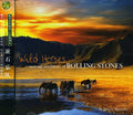 Mancebo,judson - Wild Horses: New Age Renditions Of Rolling Stones - Music CD