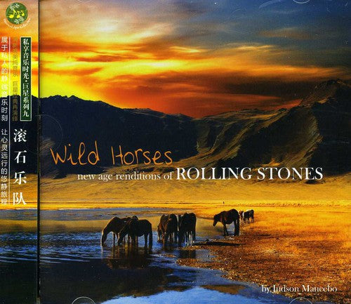 Mancebo,judson - Wild Horses: New Age Renditions Of Rolling Stones - Music CD