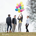 Pixel - We Are All Small Pixels - Music CD