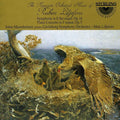 Liljefors / Mannheimer / Gavle Symphony Orchestra - Piano Concerto / Symphony In E Flat Major - Music CD