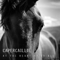 Capercaillie - At The Heart Of It All - Music CD