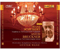 Schubert / Deutsches Symphonie Orchester Berlin - Schubert Bruckner 2: Symphony No 8 & Symphony No 9 - Music CD