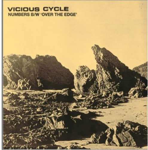 Vicious Cycle - Over The Age - Vinyl Record