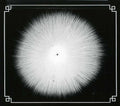 Castevet - Obsian - Music CD