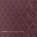 Waxwing - Nobody Can Take What Everybody Owns - Vinyl Record
