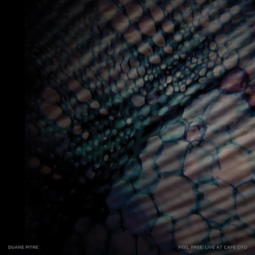 Pitre,duane - Feel Free: Live At Cafe Oto - Vinyl Record