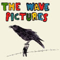 Wave Pictures - City Forgiveness - Music CD