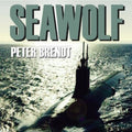Brendt,peter - Seawolf: U-boot-kampf Im Persi - Music CD