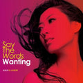 Wanting - Say The Words - Vinyl Record