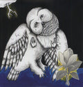 Songs: Ohia - Magnolia Electric Company Co - Vinyl Record