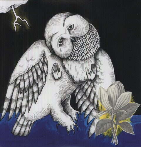 Songs: Ohia - Magnolia Electric Company Co - Vinyl Record