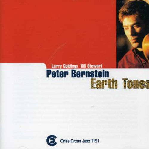 Bernstein,peter - Earth Tones - Music CD
