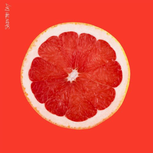Saves The Day - Saves The Day - Vinyl Record